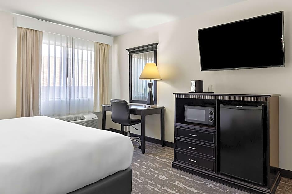 Best Western Saluki Inn