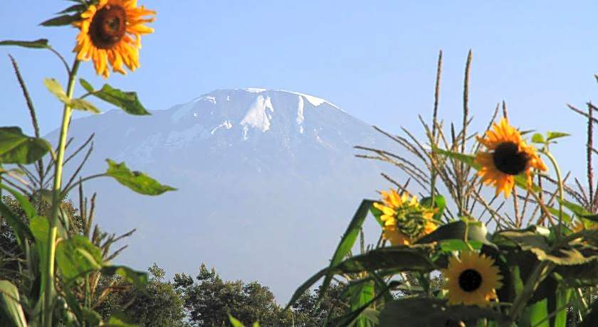 Kaliwa Lodge