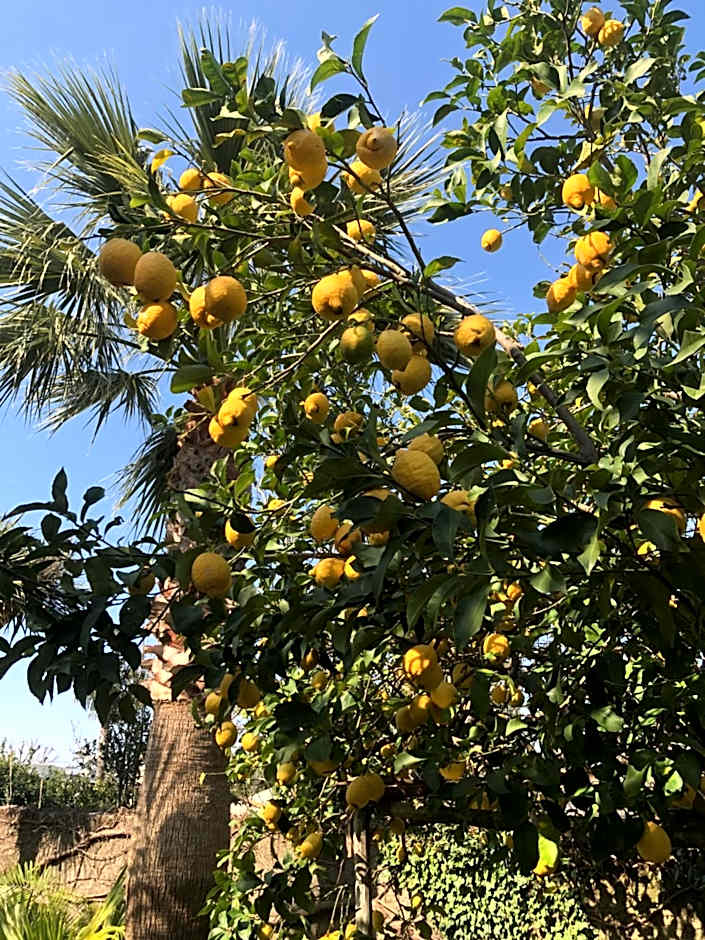 Residence Villa Cristina