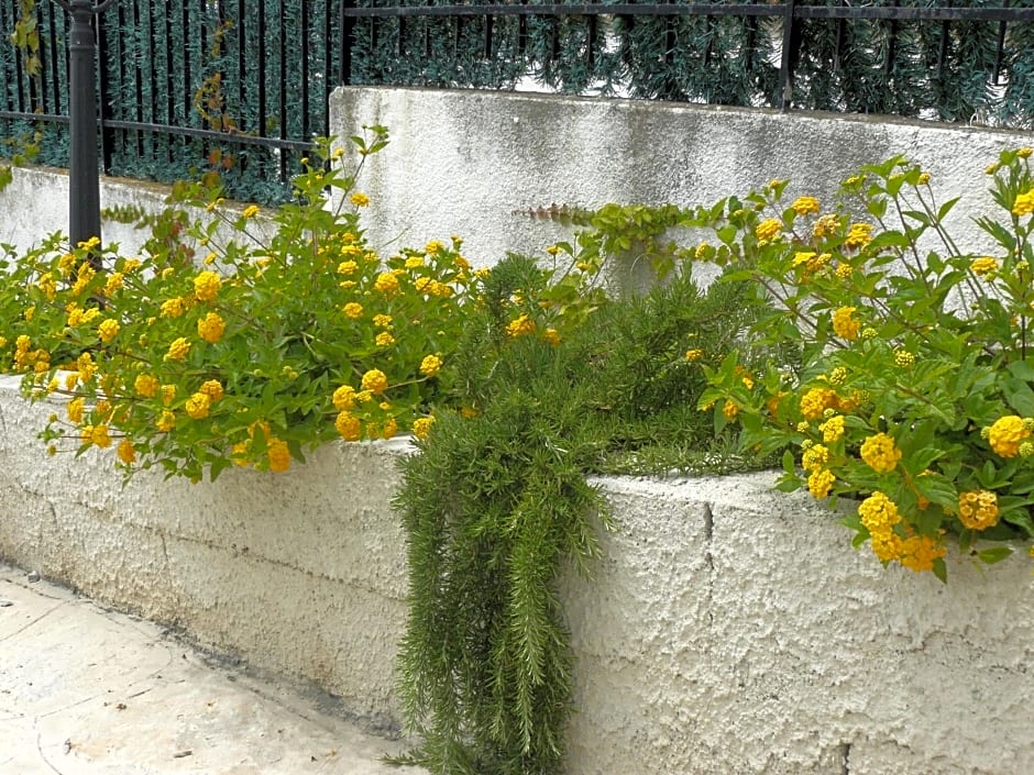 Marywilliam – Agropoli, UT