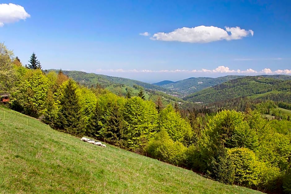 Swoboda na szczycie góry
