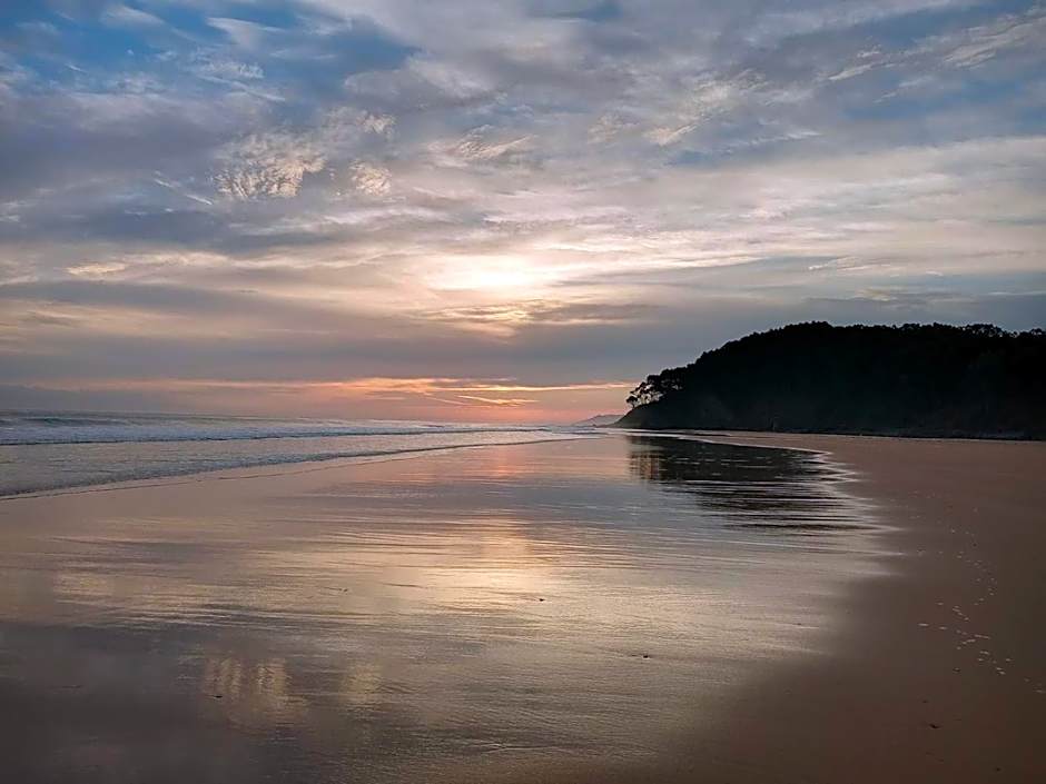 Olas y flores silvestres 2