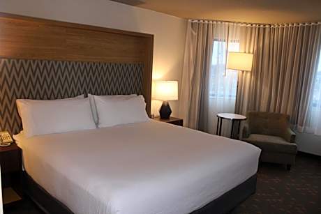 1 King Bed Mobility/Hearing Accessible Room Roll-In Shower Non-Smoking