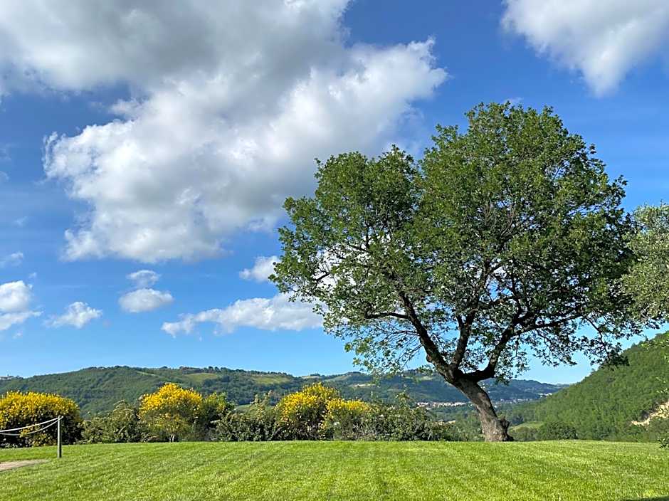 Amico Country House