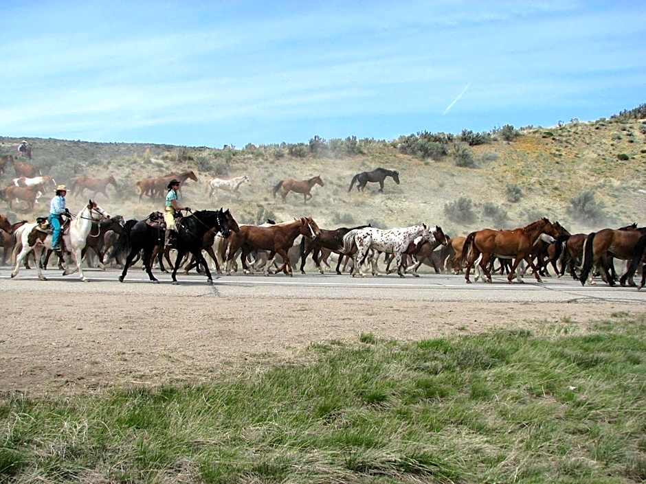 Candlewood Suites Craig-Northwest By IHG