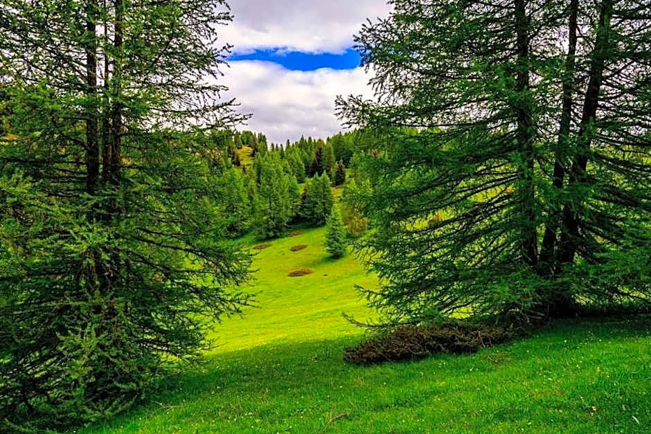 Eco-hôtel et Yourtes du Mercantour