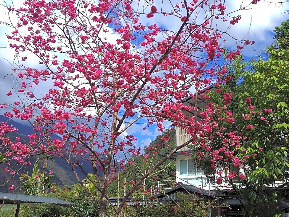 Young Chi Ku Hot Spring B&B