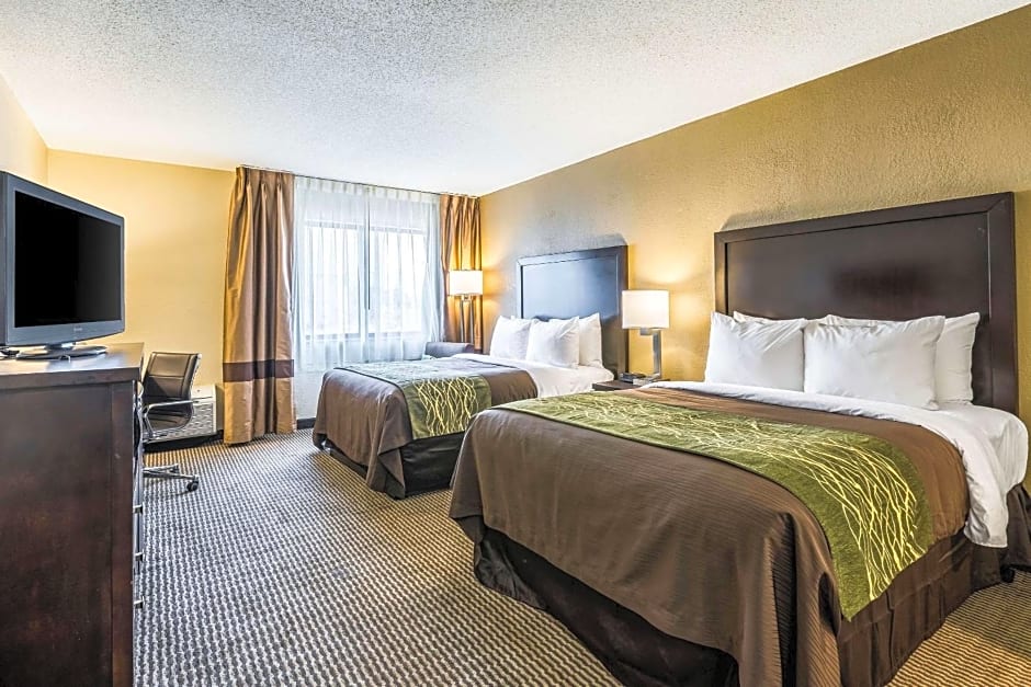 Comfort Inn Downtown Detroit