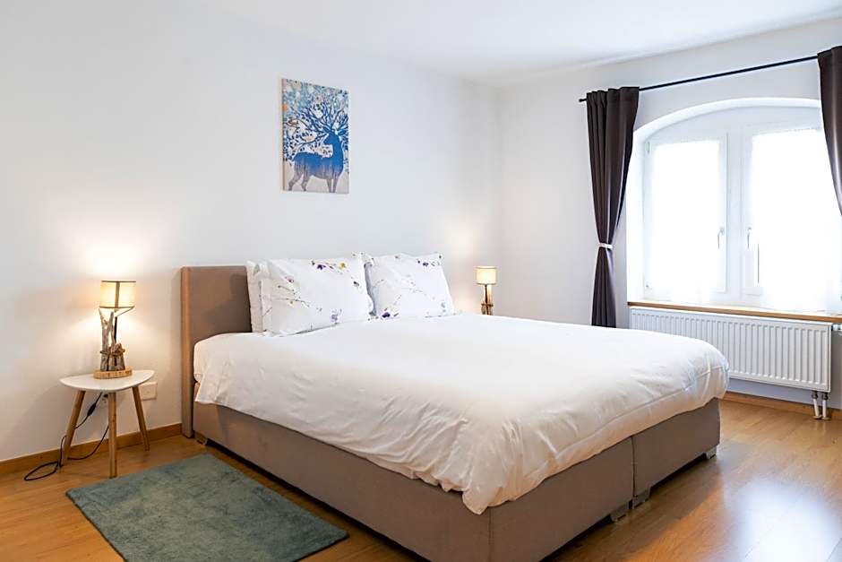 Hôtel Restaurant La Croix Verte Vich