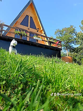 Cabanuta Tip A Runcu-Sinaia