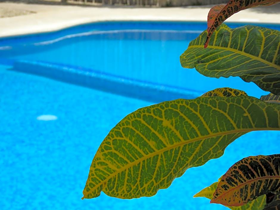 Hotel & Suites Oasis Bacalar