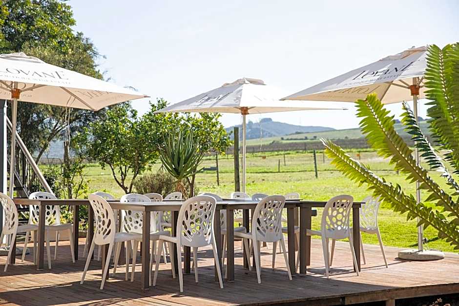 Lovane Boutique Wine Estate and Guesthouse