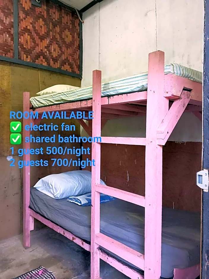 sharkbunkbed siargao