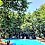 Selva de Laurel