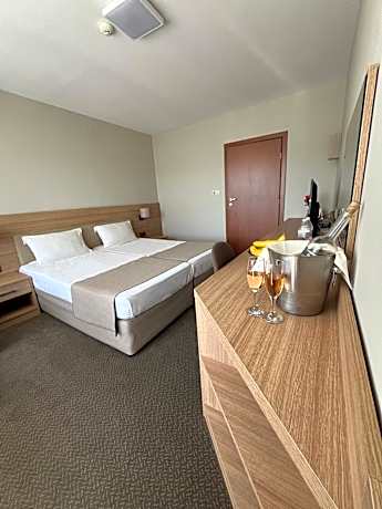 Deluxe Double or Twin Room with Balcony