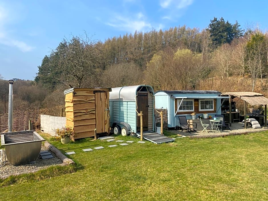 Belan Bluebell Woods Shepherds Hut