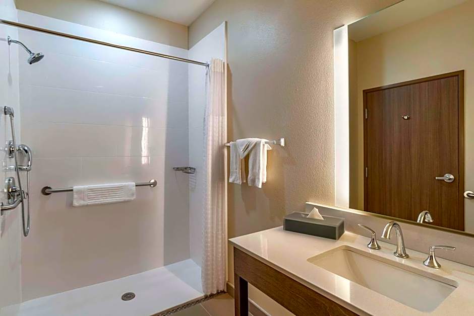 Comfort Inn & Suites Downtown near University