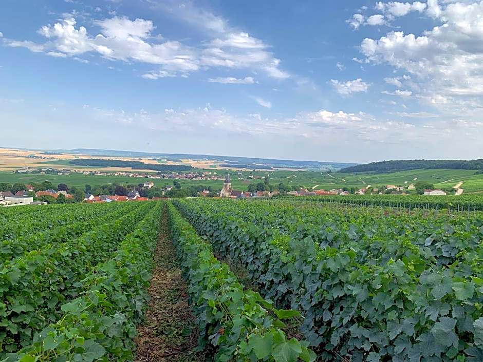 Les Suites Champenoises