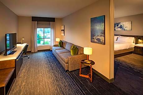 Junior King Suite