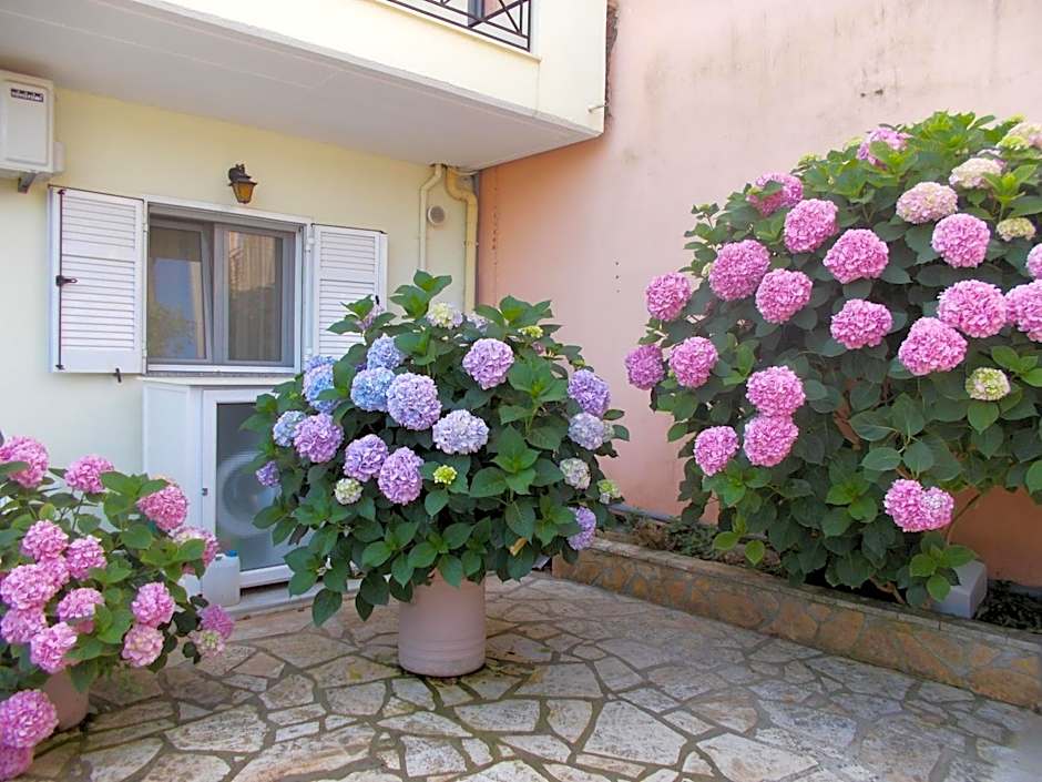 Pansion Filoxenia Apartments & Studios