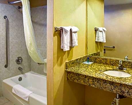 1 King Bed, Nonsmoking