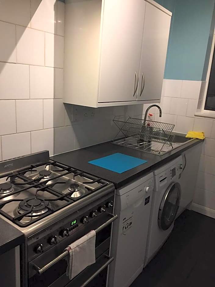 Marble Apartments Tooting House