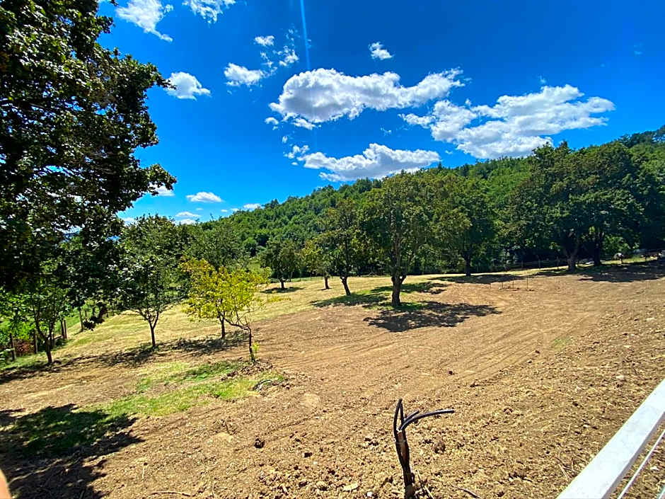 Podere Badia Valdrago Agriturismo Mugello Circuit