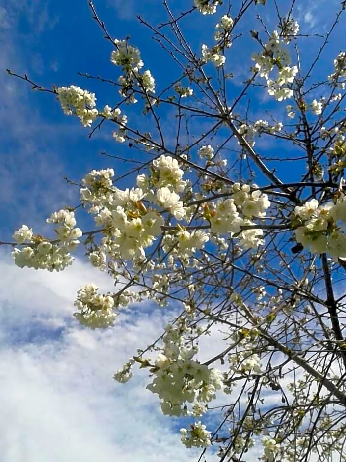 L'Enclos Des Jacobins