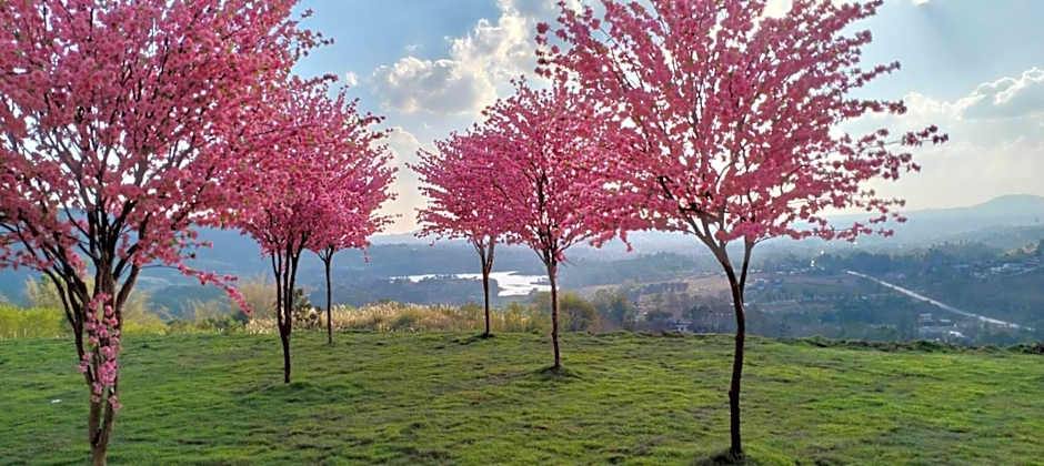 Sirine​ Onsen​ รีสอร์ทออนเซนวิวทะเลหมอก