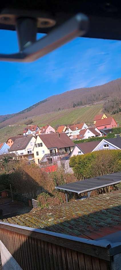 Gîte et chambres d'hôtes Les Framboises