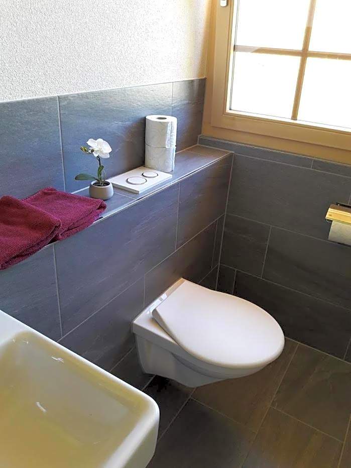 Ferien in der Bergwelt von Adelboden