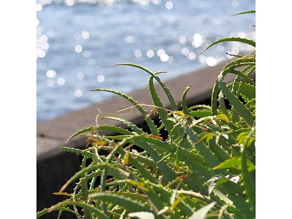 Seaside Hotel Geibousou - Vacation STAY 92554v