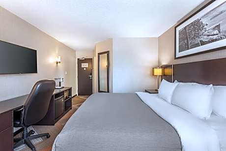 Business King Room - Non-Smoking