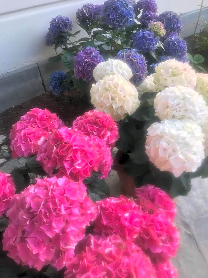 Villa Excelsior Hotel & Kurhaus