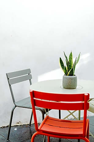 Terrace Room