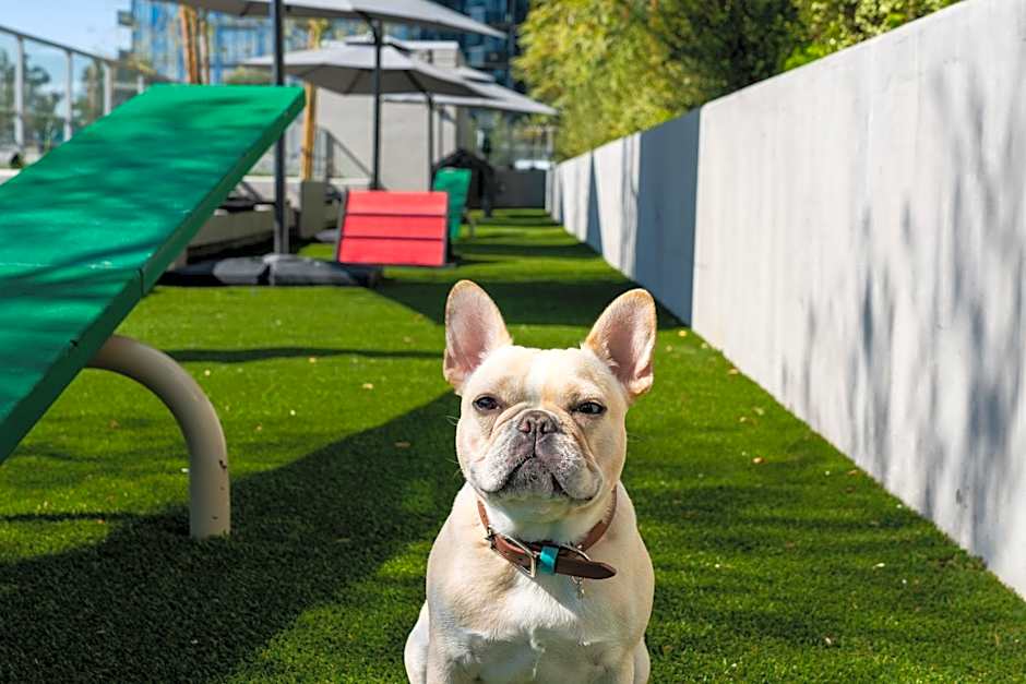 Level Los Angeles - Downtown Flower