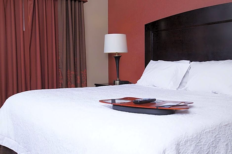 Hampton Inn By Hilton and Suites Dickinson ND