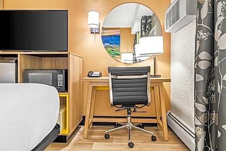 1 Queen Bed Mobility Accessible Room Non-Smoking