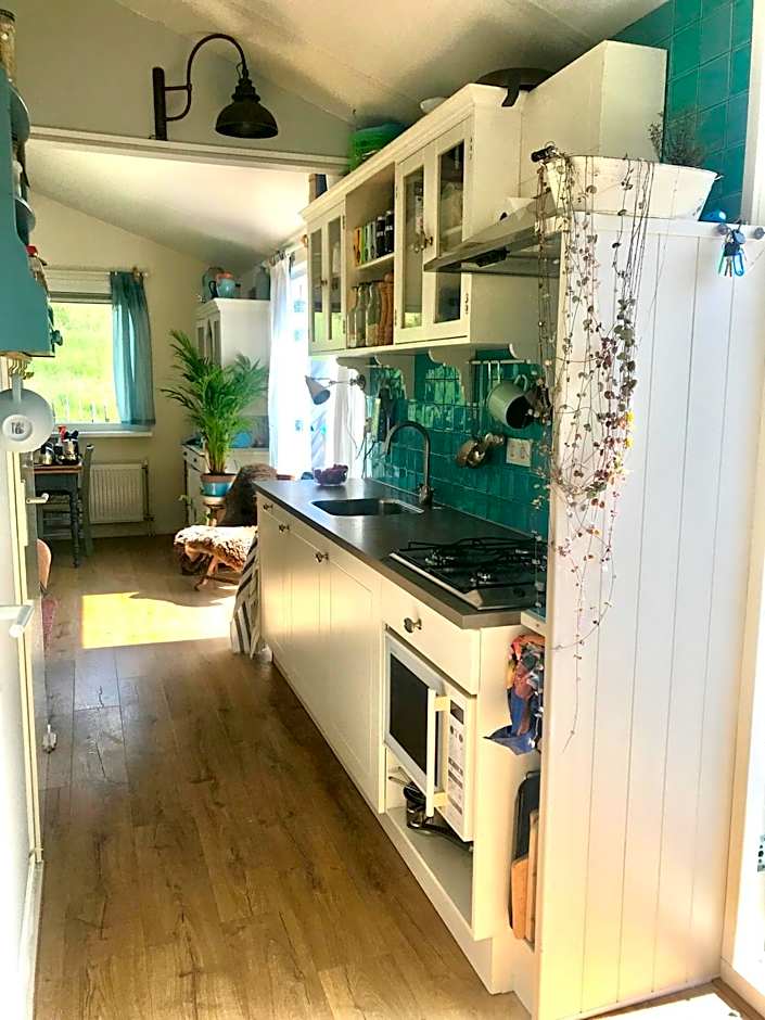 Rosa's zonnige huisje bij duinen bos en strand