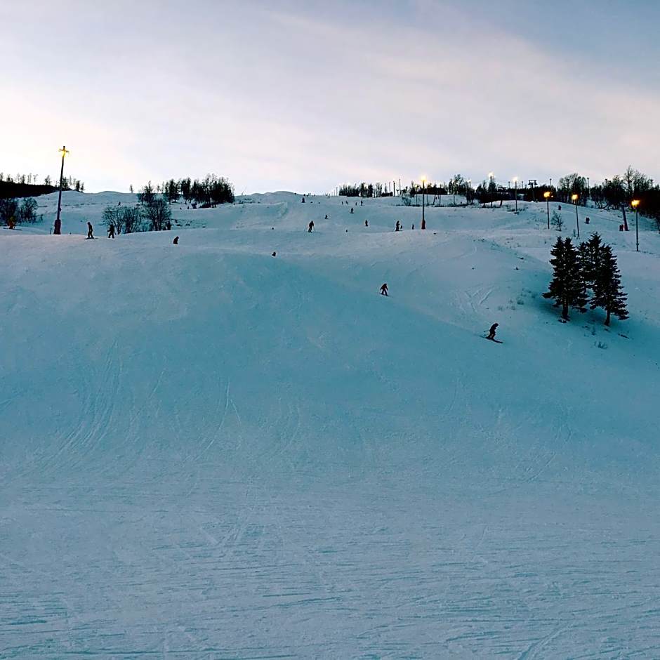 Vestvatn - Arctic Cabins