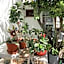 Gul Hanim House Boutique Hotel