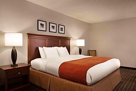 King Room with Roll-in Shower - Disability Access/Non-Smoking