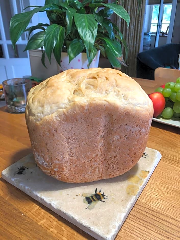 Le Cerisier Saint-Barbant