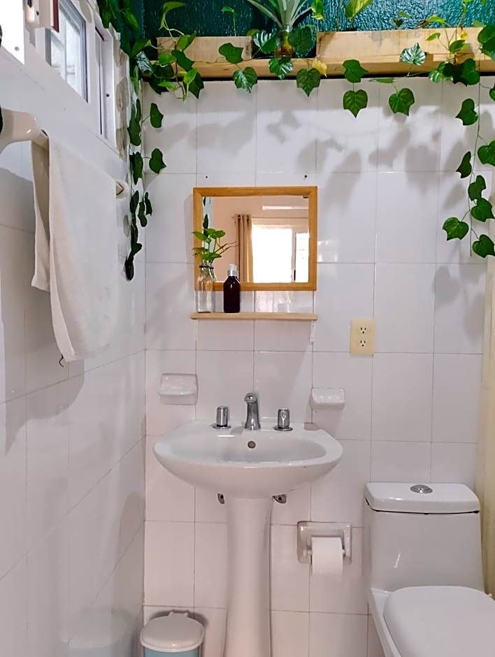 Casa Palmita