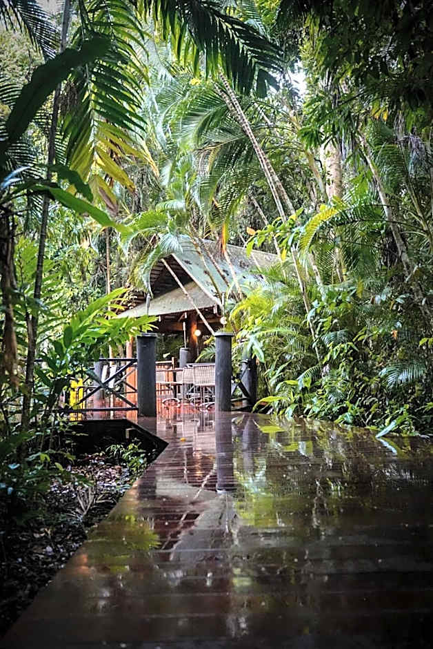 Ferntree Rainforest Lodge