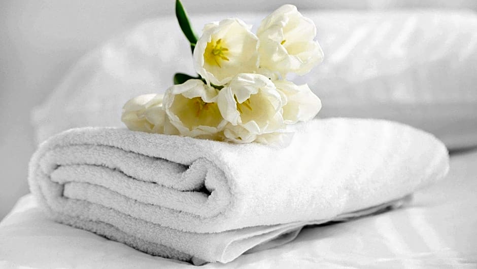 Magnuson Hotel Nashville North