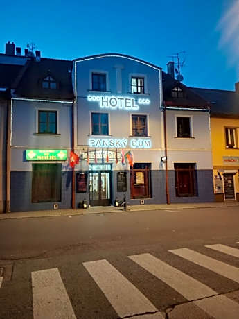 Hotel Panský dům