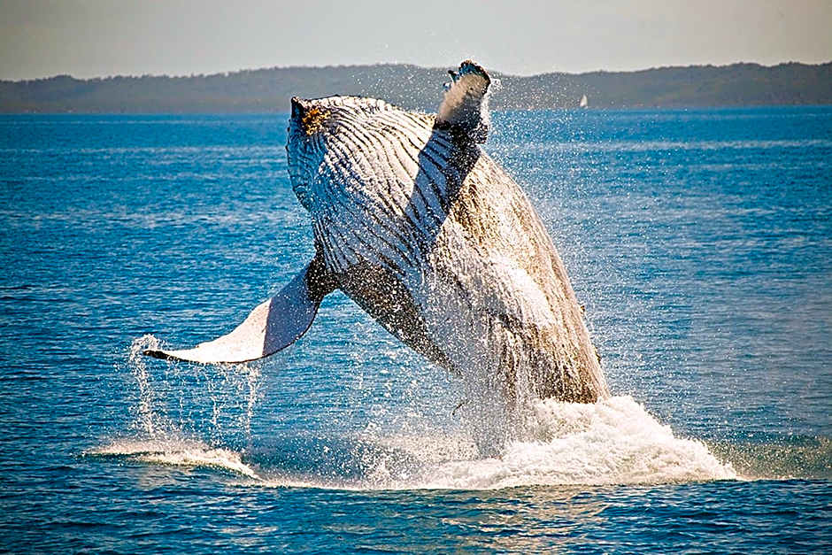 Ingenia Holidays Hervey Bay