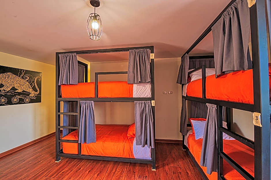 Photo 1 of 2 of Bunk Bed in 4-Bed Dormitory - Mixed