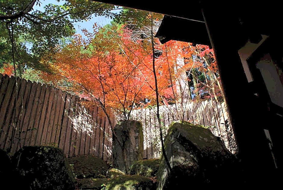 Akizuki Spa Ryokan Seiryuan